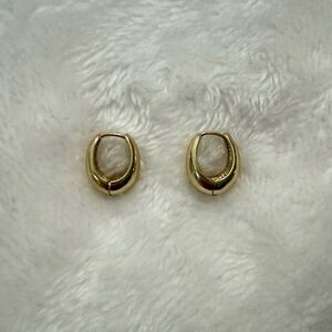 Elegant Gold Hoop Earrings